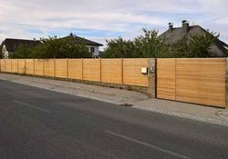 Sichtschutz und Tor im gleichen Design
