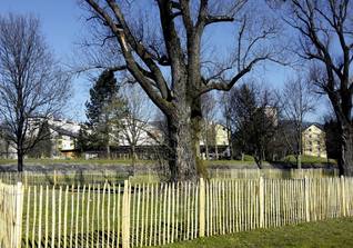 Staketenzaun im öffentlichen Park