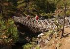 Lärchenholz Brücke